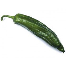 Pimiento Verde Italiano 1/4