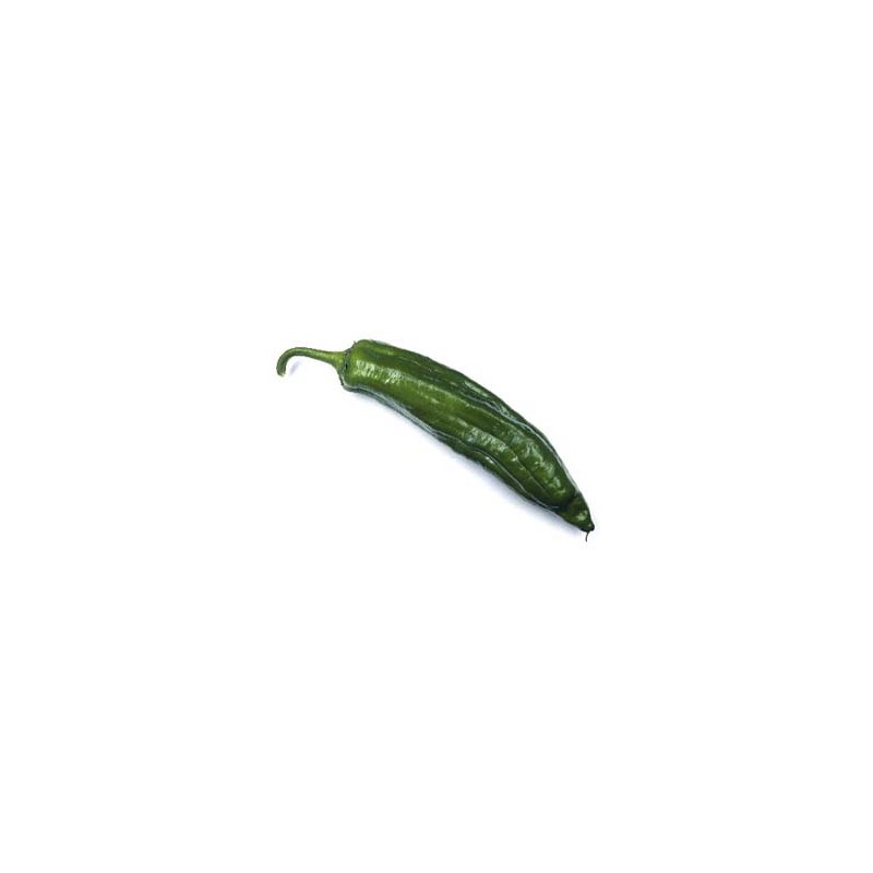 Pimiento Verde Italiano 1/4