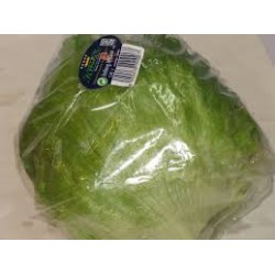 Lechuga iceberg o francesa