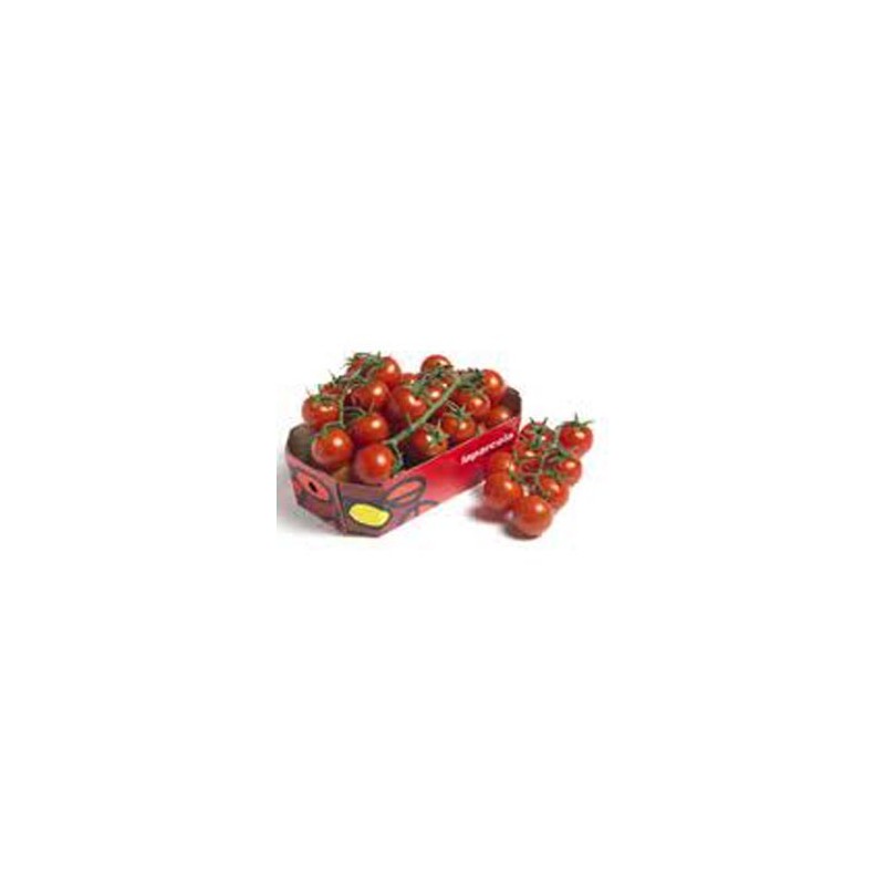 Tomate Cherry rama 250 gr