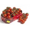 Tomate Cherry rama 250 gr