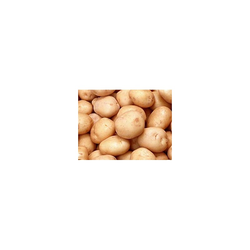 Patatas pequeñas Guarnición