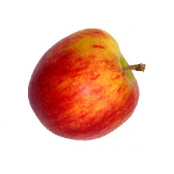 Manzana Fuji