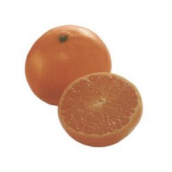 Mandarina Clemenville