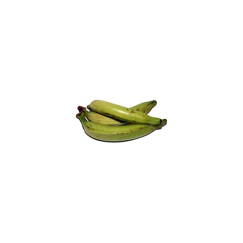 Platano Macho