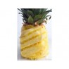 Piña pelada (rodajas)