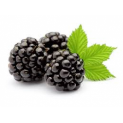 Moras