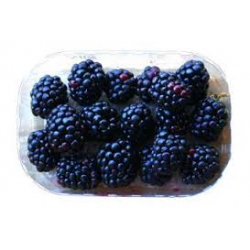 Moras