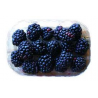 Moras